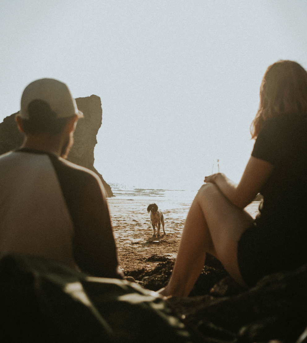 Couple sitting on the beach watching their dog